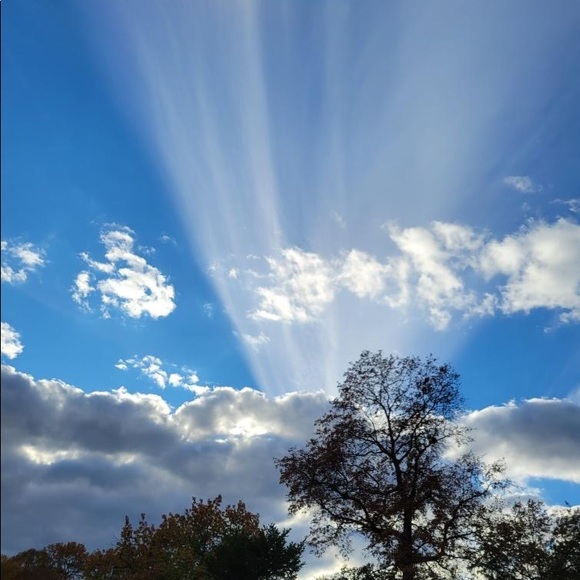 RAE DUNN MERCHANDISE - Picture 15 of 15